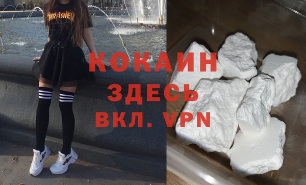хмурый Алексин