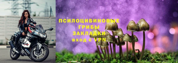 шишки Абдулино