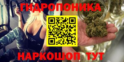 прущая мука Аргун