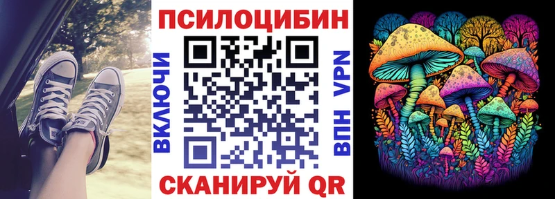 kraken рабочий сайт Барнаул Галлюциногенные грибы прущие грибы