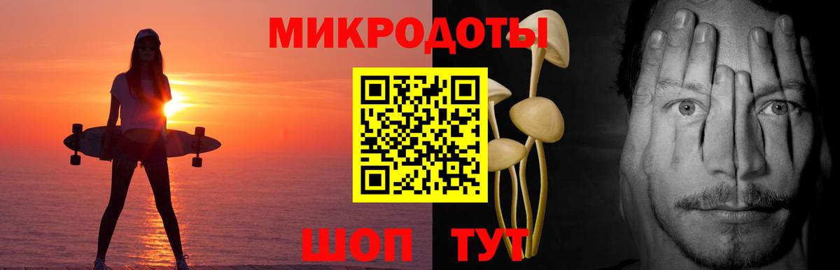 Барнаул  Псилоцибиновые грибы прущие грибы  Вход с VPN  Псилоцибиновые грибы Psilocybine cubensis 
